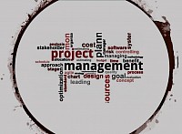 ... we have the practical skills in strategising, planning, executing, controlling, and closing-out the work of a team to achieve specific goals and meet specific success criteria at the specified time.